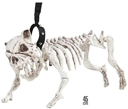 Esqueleto perro con luz y sonido 40x19x1