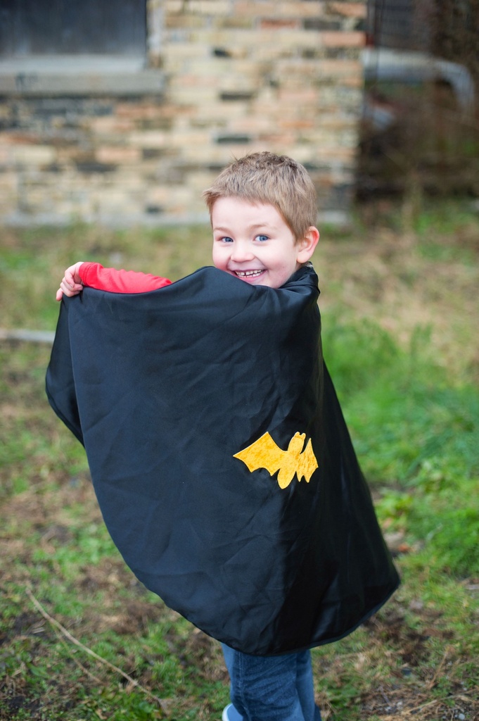 Reversible Spider Bat Cape 5/6