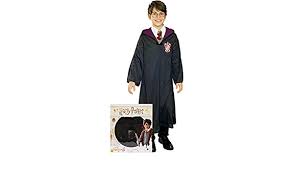 DISFRAZ HARRY POTTER caja