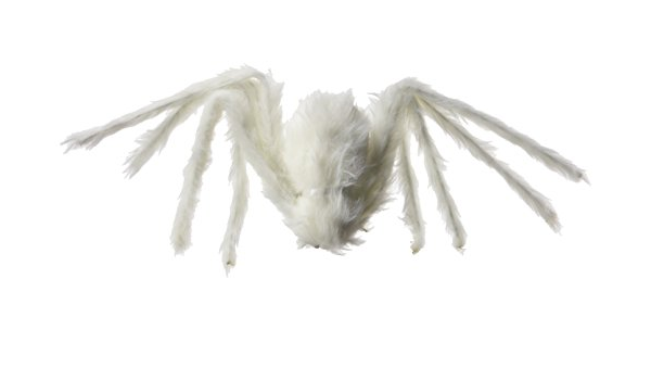 ARAÑA ALBINA EFECTO NEON