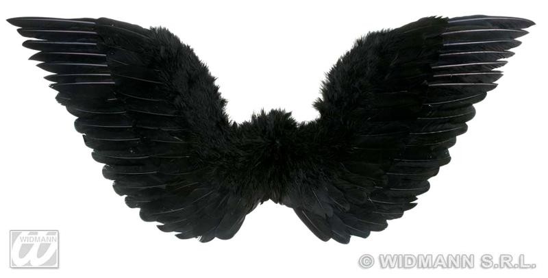 ALAS DE PLUMAS NEGRAS
