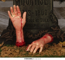 [19767] MANO 32 CMS.