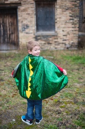 [55693] Rev. Dragon/Knight Cape 3/4