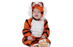 [700904-TBB-0000] TIGRE T-BB