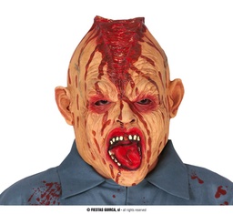 [2864] CABEZA PARTIDA