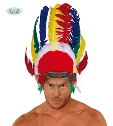[13910] PENACHO PLUMAS INDIO