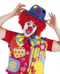 [S1431] PELUCA AFRO ROJA