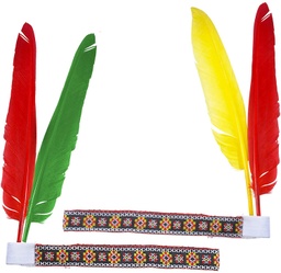 [3304F] CINTA INDIO CON 2 PLUMAS