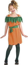 [884100-M] DISFRAZ CALABACITA INF (5-7)
