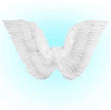 [01037] ALAS DE PLUMAS BLANCAS