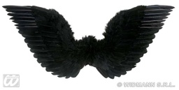 [01038] ALAS DE PLUMAS NEGRAS