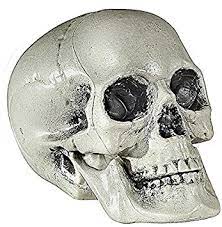 [01379] CALAVERA DE PVC 21CM