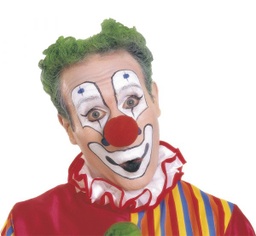 [730FN] NARIZ PAYASO ESPUMA