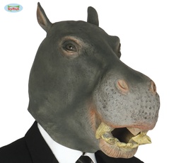 [2467] CARETA HIPOPOTAMO