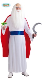 [80779] DRUIDA ADULTO